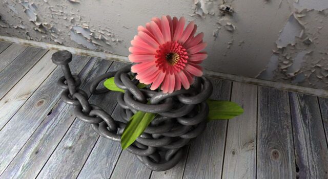 astrology will Free will astrology Online Astrologer in India