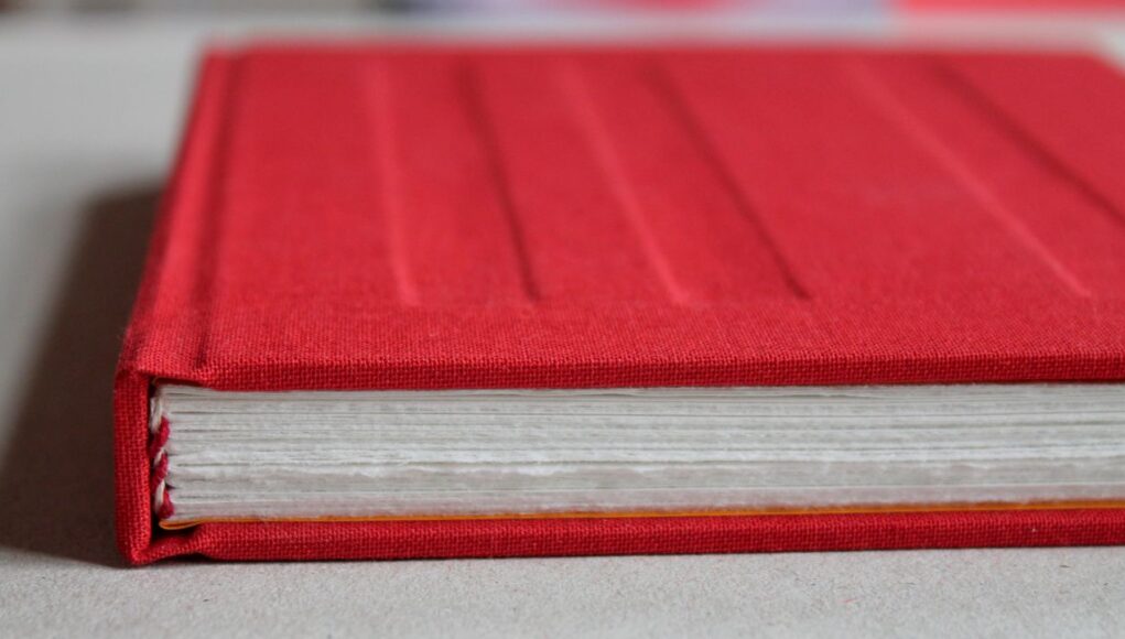 Lal kitab केतु, केतू, लाल किताब, ग्रह, उपचार, भाव, ketu, lal kitab, lal, kitab, grah, planet, dragon node, house, bhav