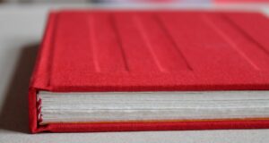 पारंपरिक ज्योतिष पर लाल किताब का प्रभाव (Lal Kitab Astrology) Lal kitab केतु, केतू, लाल किताब, ग्रह, उपचार, भाव, ketu, lal kitab, lal, kitab, grah, planet, dragon node, house, bhav