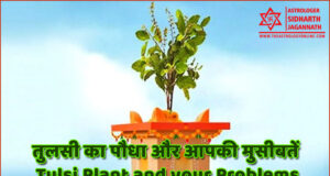तुलसी का पौधा और आपकी मुसीबतें | Tulsi Plant and your Problems