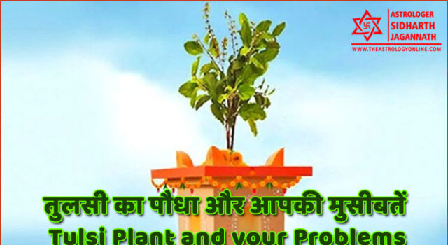 तुलसी का पौधा और आपकी मुसीबतें | Tulsi Plant and your Problems