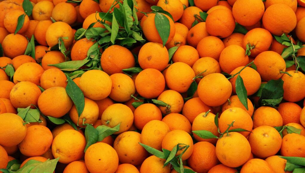 पसंदीदा फल बताते हैं आपका व्यक्तित्व Your favorite fruit shows your personality