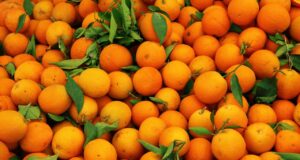 पसंदीदा फल बताते हैं आपका व्यक्तित्व personality type पसंदीदा फल बताते हैं आपका व्यक्तित्व Your favorite fruit shows your personality