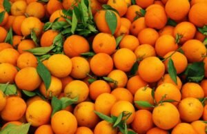 पसंदीदा फल बताते हैं आपका व्यक्तित्व Your favorite fruit shows your personality