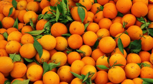 पसंदीदा फल बताते हैं आपका व्यक्तित्व Your favorite fruit shows your personality