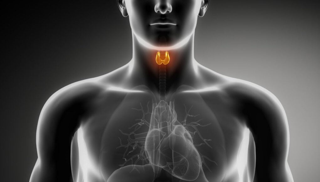 Vedic Astrology थायराइड के लिए अश्वगंधा Thyroid