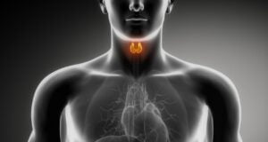 थायराइड के लिए अश्वगंधा Thyroid Vedic Astrology थायराइड के लिए अश्वगंधा Thyroid