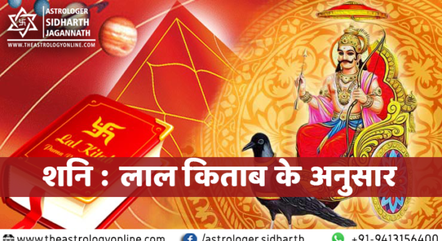 शनि : लाल किताब के अनुसार Prediction for Saturn in house in Hindi according to Lal Kitab