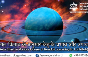 केतु के प्रभाव और उपाय: लाल किताब के अनुसार (Remedies for Ketu in various houses according to Lal Kitab)